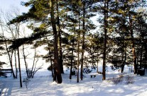 Outdoors – View 1