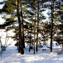 Outdoors – View 1
