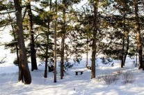 Outdoors – View 2