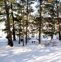 Outdoors – View 2