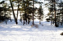 Outdoors – View 3
