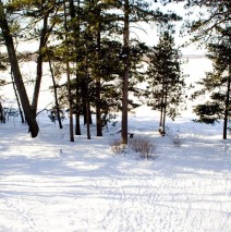 Outdoors – View 3