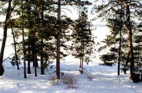 Outdoors – View 4