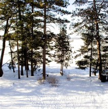 Outdoors – View 4